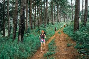 BIB: 
                            <button type="button" onclick="openModal(25660172)" class="btn btn-primary btn-sm float-right btn-popup" data-toggle="modal" data-target=".modal-high-quality">
                        <i class="fas fa-shopping-cart"></i> Add to Cart
                    </button>
                                            <button type="button" onclick="isThisMe(25660172, true)" class="btn btn-success btn-sm float-right btn-popup btn-isme hidden" data-toggle="tooltip" data-placement="bottom" title="นี่คือรูปของคุณใช่ไหม คลิกที่นี่เพื่อเอาเข้าอัลบั้ม">
                        <i class="fas fa-plus"></i> Add to album
                    </button>
                    <button type="button" onclick="isThisMe(25660172, false)" class="btn btn-warning btn-sm float-right btn-popup btn-isnotme hidden">
                        <i class="fas fa-ban"></i> Remove from album
                    </button>